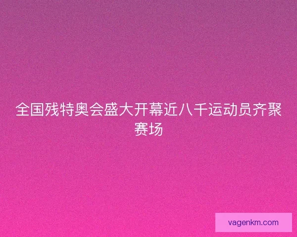 全国残特奥会盛大开幕近八千运动员齐聚赛场